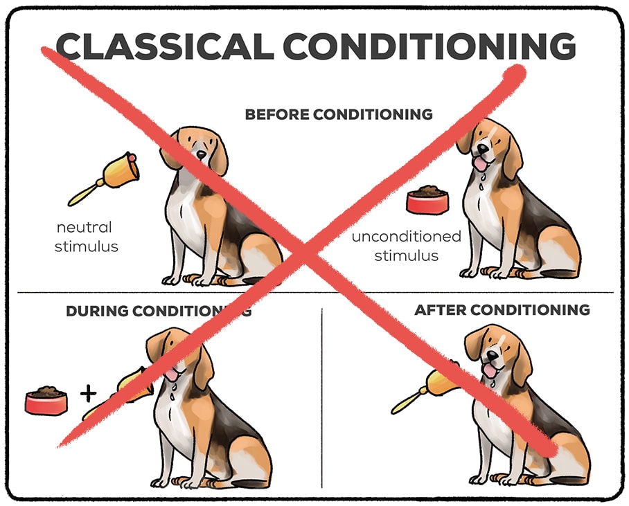 bobo doll experiment classical conditioning